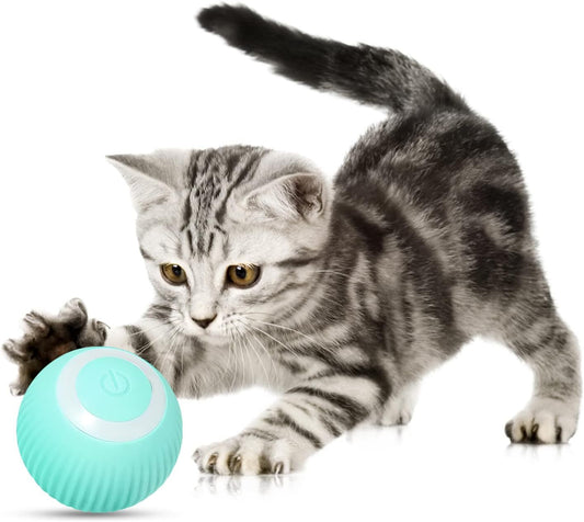 BouncePaws™ - Cat Interactive Ball Toy