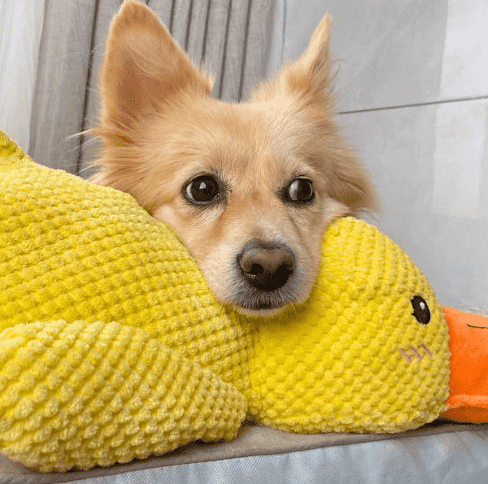 Quacker® Calming Duck Toy (FREE Today)